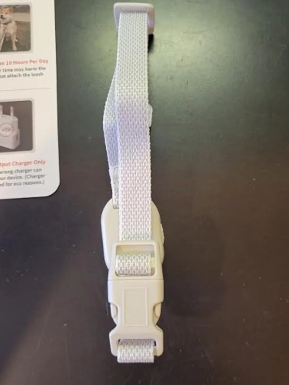 Pet Safe Shock Collar,Ultra-Light & Slim with Remote. New, never used!